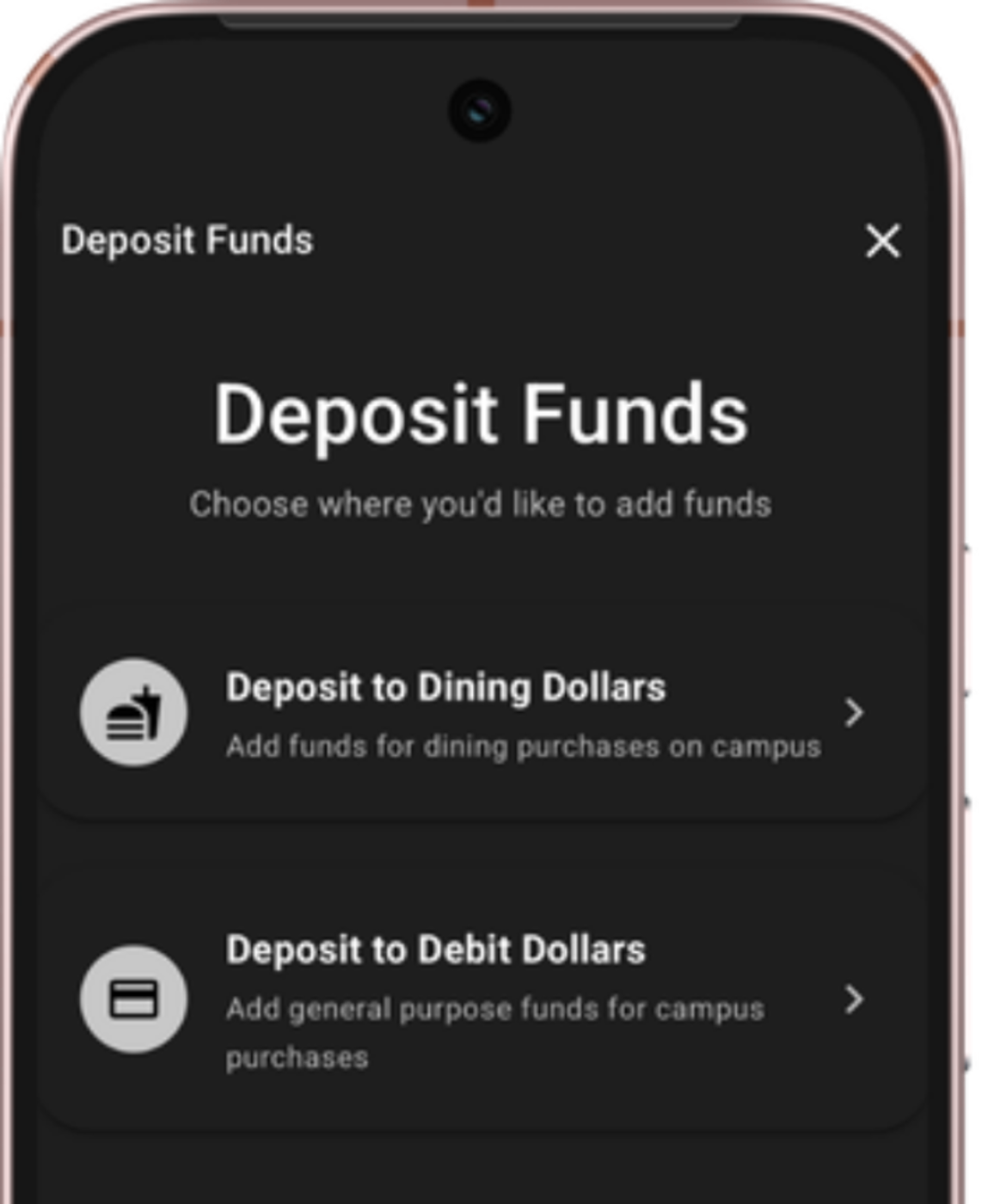 Deposit Funds screen with Dining Dollars and Debit Dollars deposit options